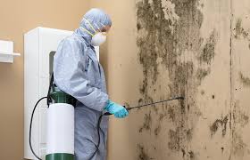 Best Industrial Mold Remediation  in Nottingham, PA